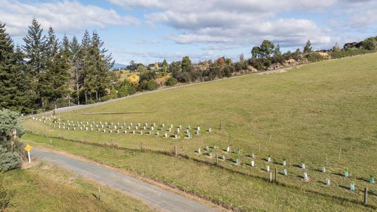 Lots 2-3 Pine Hill Road Mapua_5