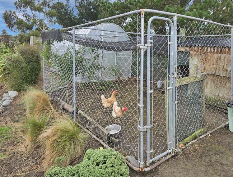 6 Bridge Road Maheno_22