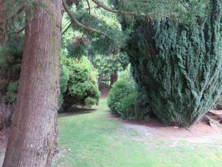 22 Melville Street Waipawa_2