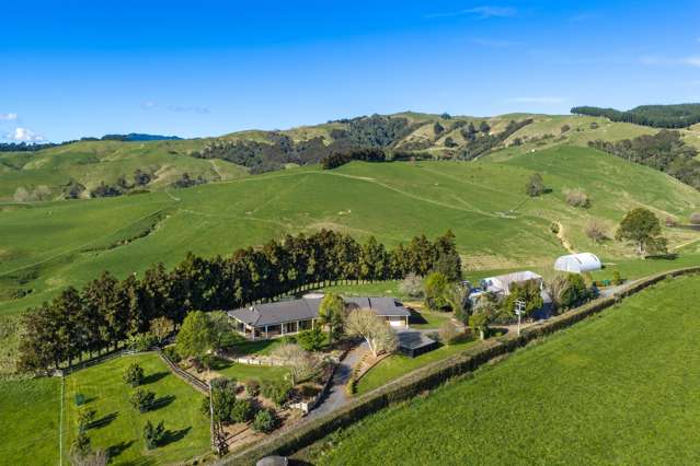 363 Grice Road Rotoorangi_1