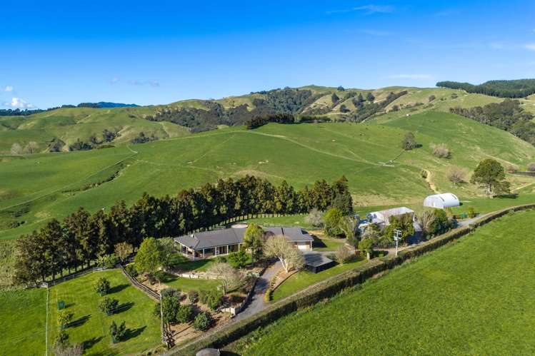 363 Grice Road Rotoorangi_1