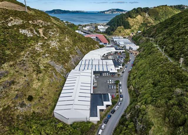 26 Glover Street Ngauranga_2