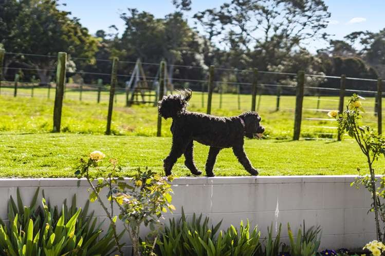 100 Campbell Road One Tree Hill_9