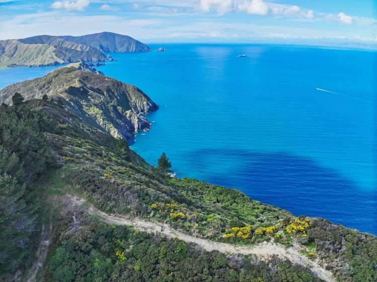 Te Rua Bay Tory Channel_8