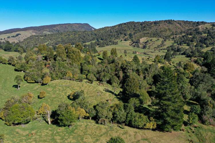 1161 Rakauroa Road Matawai_7