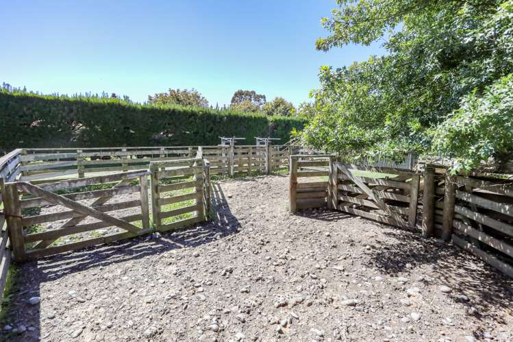 449 Days Road Springston_15