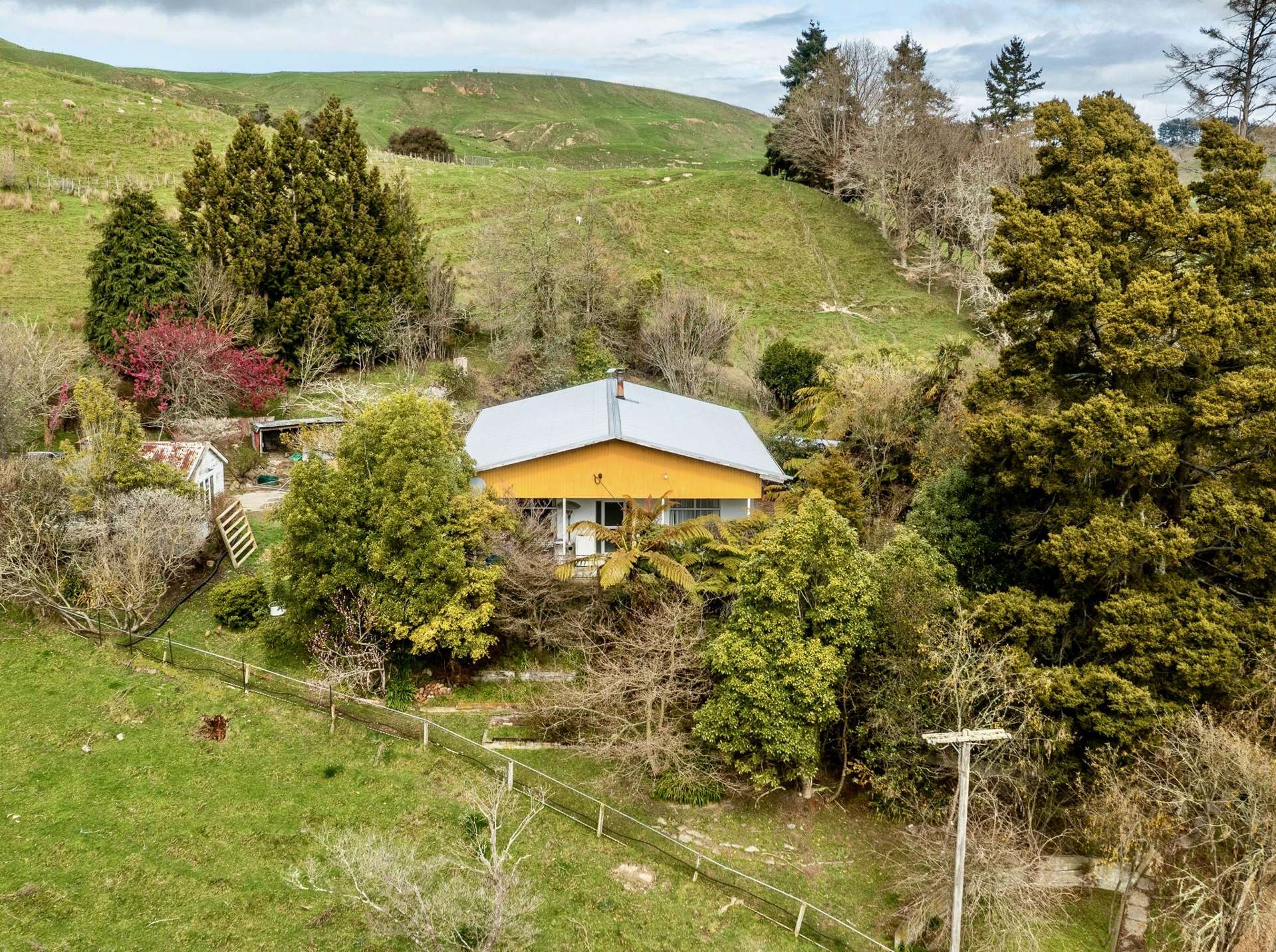 19 Gordon Terrace Hunterville_0