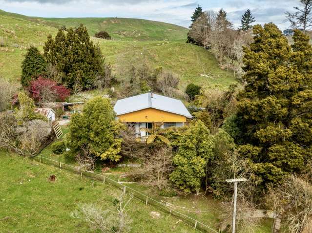 3ha+ lifestyle block - three-bedroom home and shed