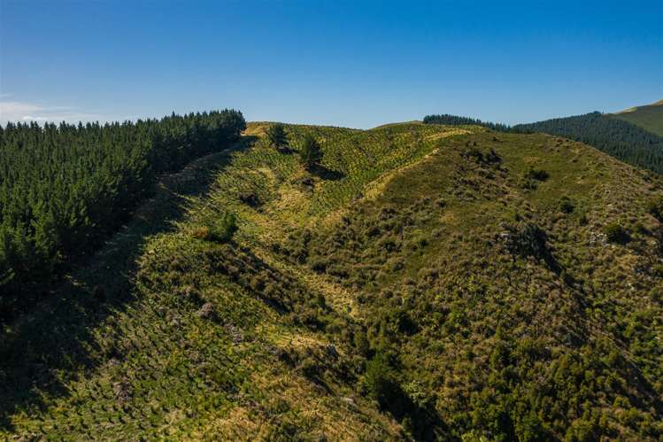 793 Taylor Pass Road Taylor Pass_8