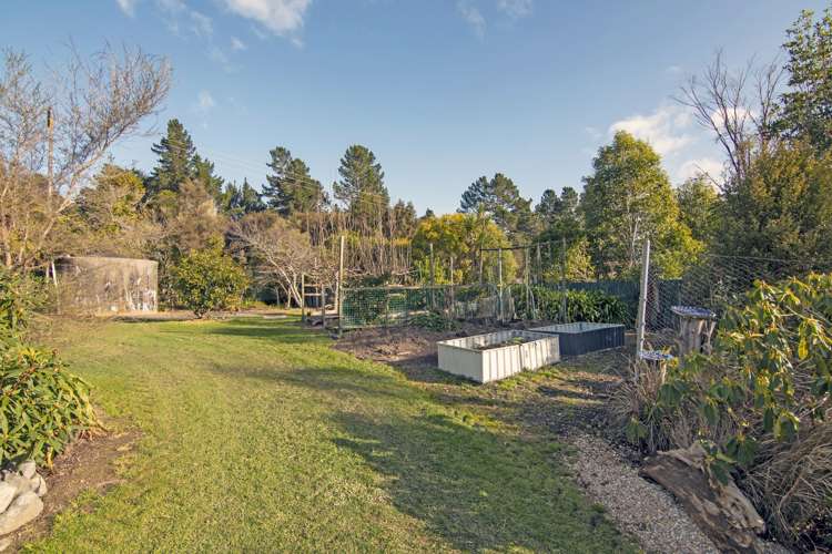 2313 Takaka-Collingwood Highway Collingwood_15