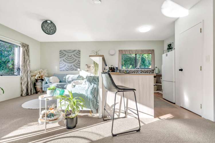 409a Maungatapu Road Maungatapu_9