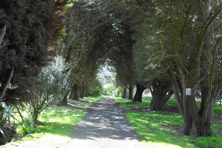 66 Palmer Road Foxton Beach_23