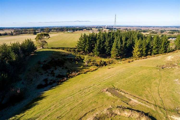 308b Cones Road Loburn_6