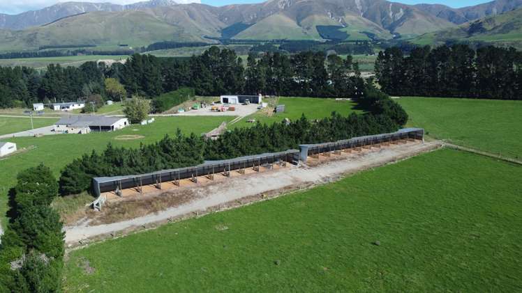 108 Klondyke Terrace Mayfield_28