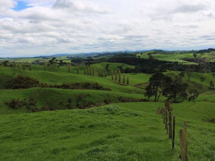 196 Hildreth Road Arapuni_24