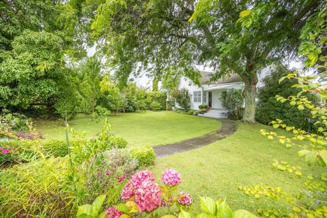 337 Wallace Terrace Te Awamutu_1