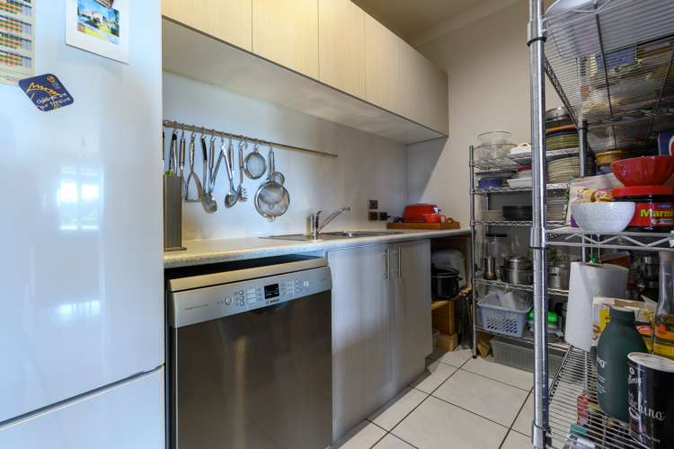 771 Whakamarama Road Whakamarama_17