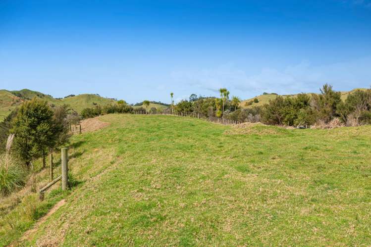 47 Haul Road Tahekeroa_10