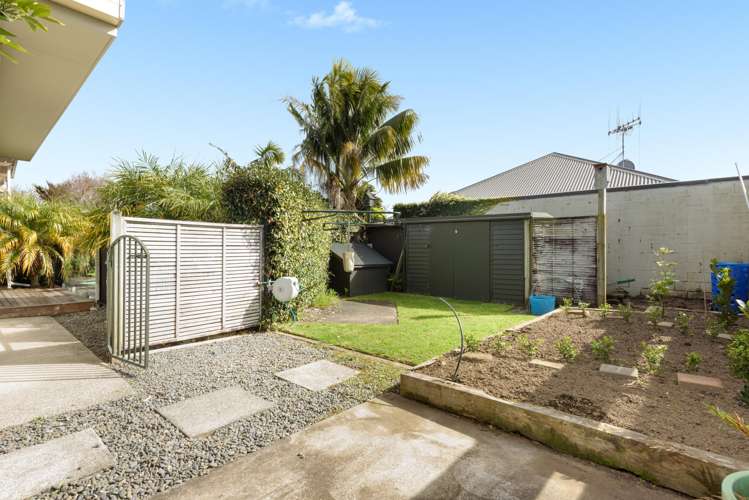 47 Waratah Street Matua_18