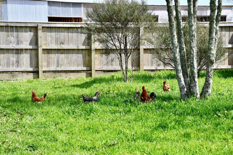 131 Oparara Road Karamea_14