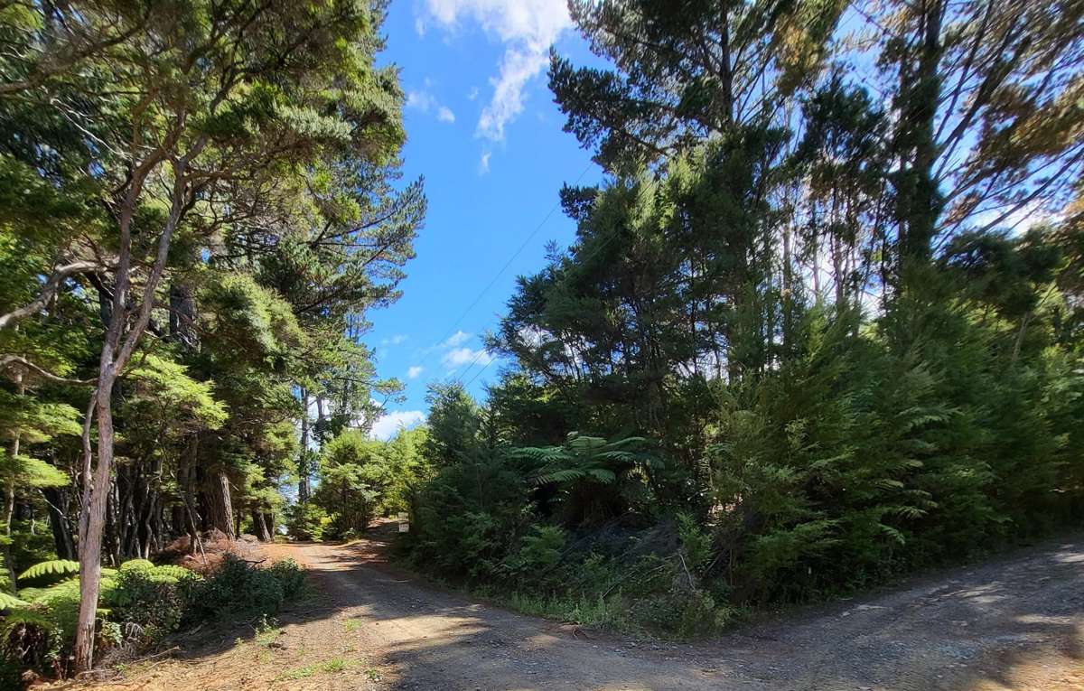 10 Wilson Avenue_2