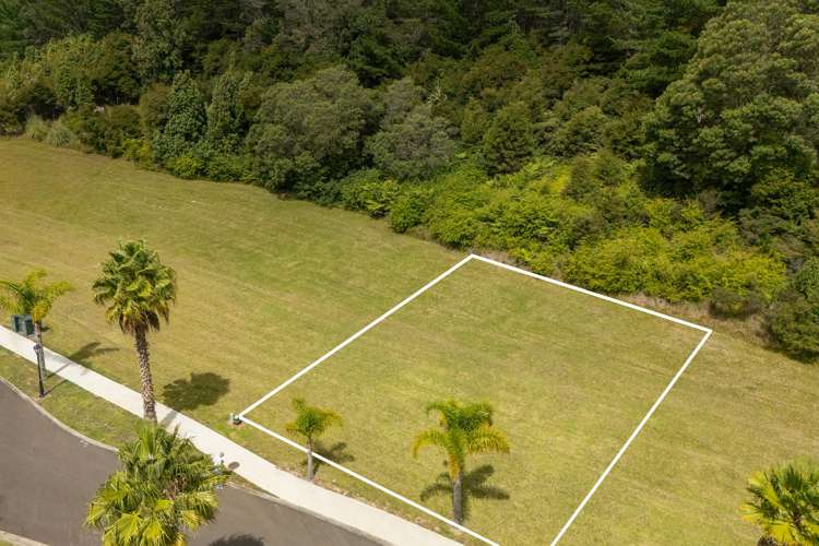 61 Pinehurst Drive Hikuai_7