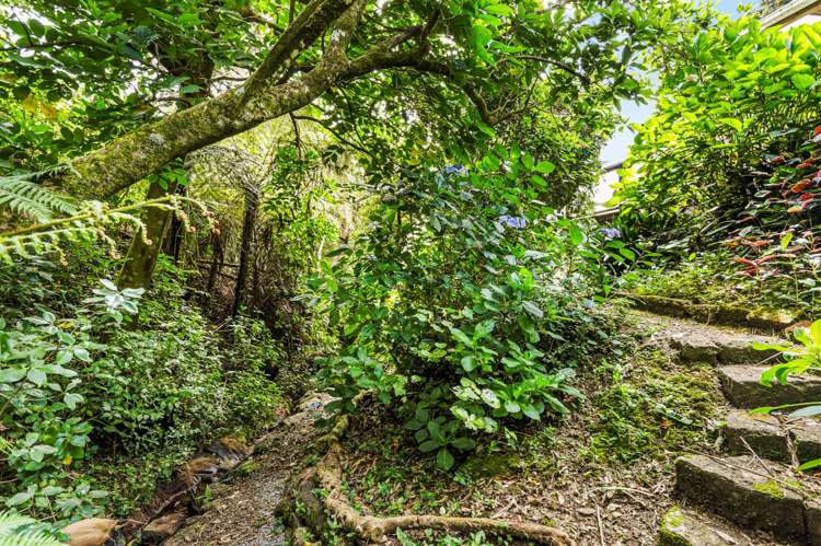 97 Cornwallis Road Cornwallis_27