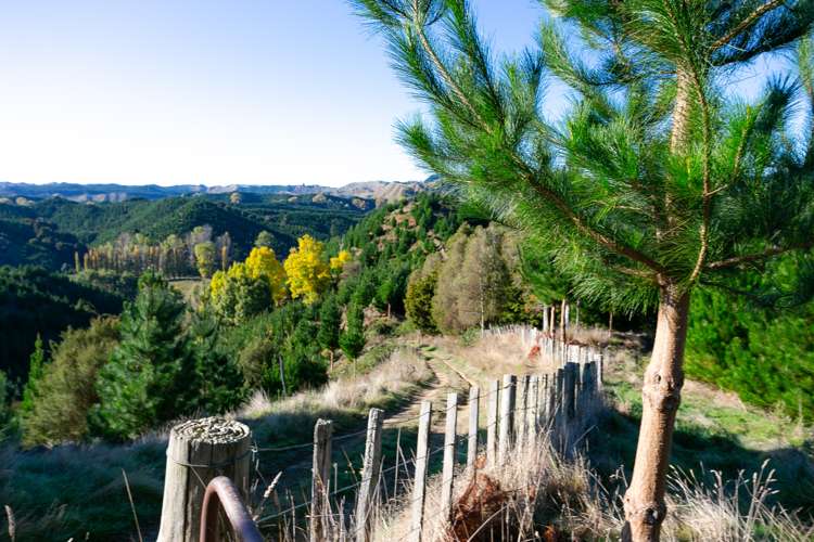 Ongo Road Hunterville Rangitikei Rural Property For Sale One Roof