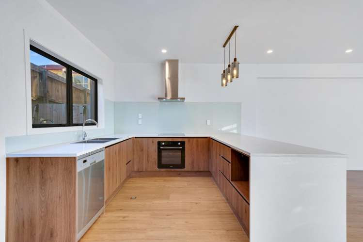 17 Timo Way Flat Bush_12