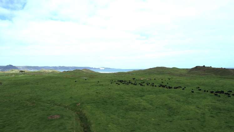 Sandhills Road Ahipara_17