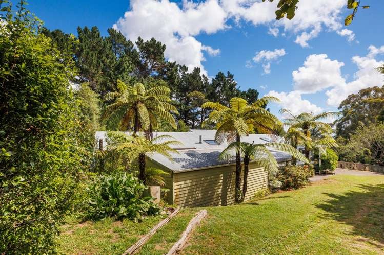 303 Kahuterawa Road Linton_29