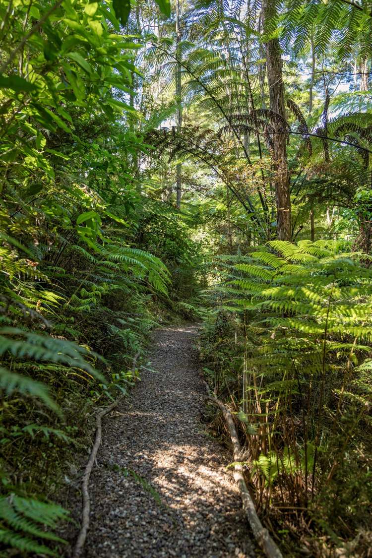 703b Ridge Road Riverhead_21