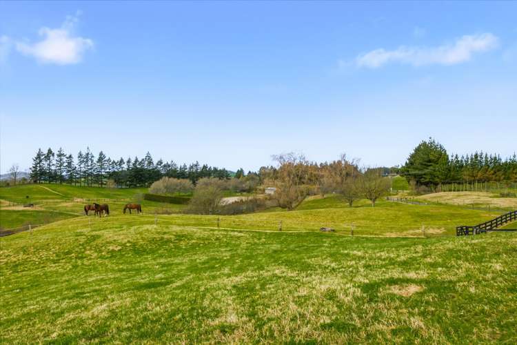 1465 Poihipi Road Oruanui_20