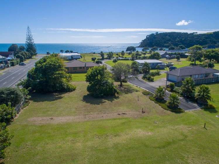 8 Flame Tree Lane Taipa_5