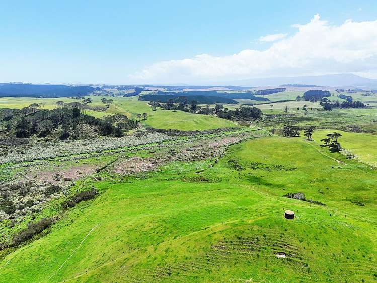 Lot Lot 2 Scottys Camp Road Dargaville_8