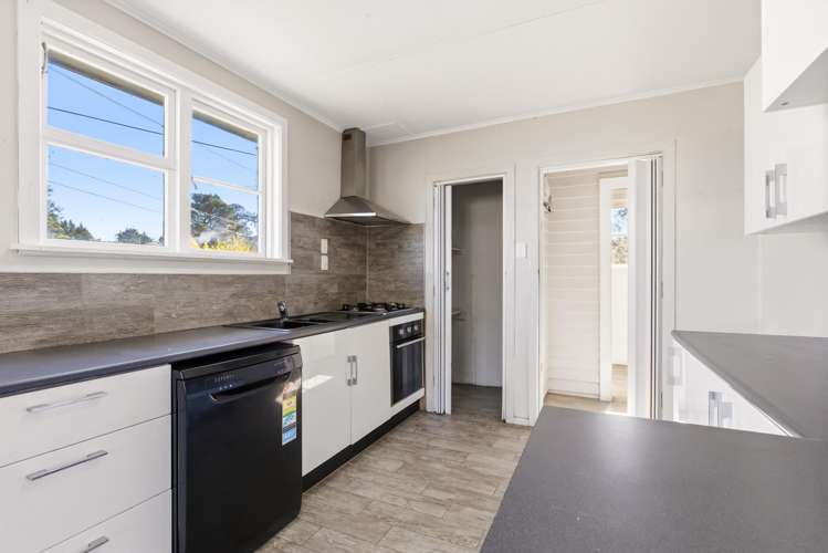 45 Roslyn Street_3