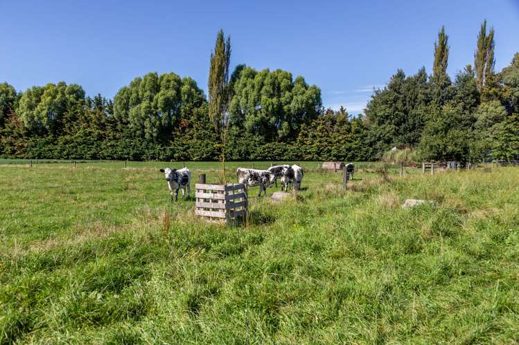 143 Culverden Road Culverden_21