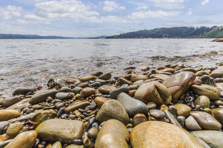 2/148 Evans Bay Parade Roseneath_23