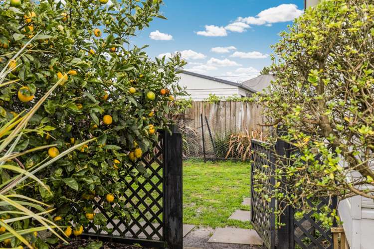 52 Puni Road Pukekohe_16