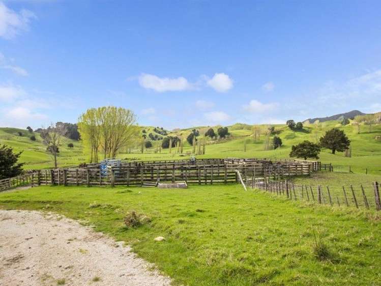 171 Girls High School Road Tangiteroria_14