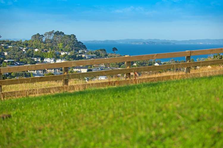 2 Ti Tree Lane Stanmore Bay_17