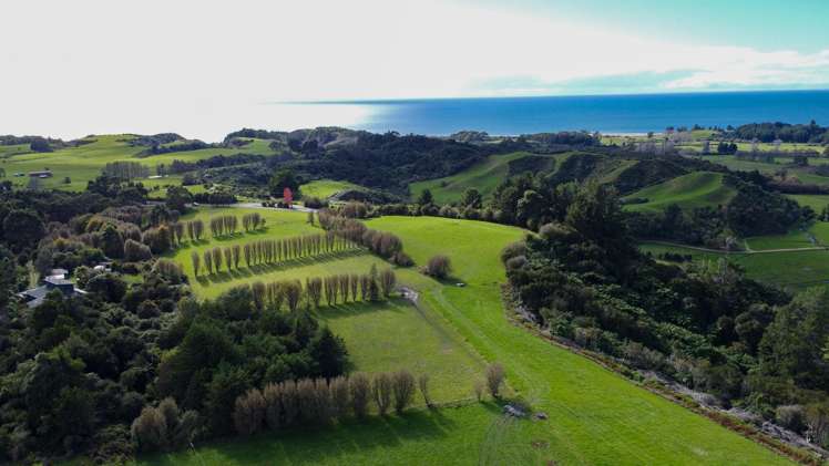 915 Takaka-Collingwood Highway_0