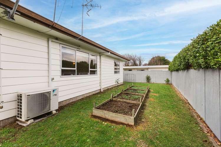 3/805 Heretaunga Street East Parkvale_13