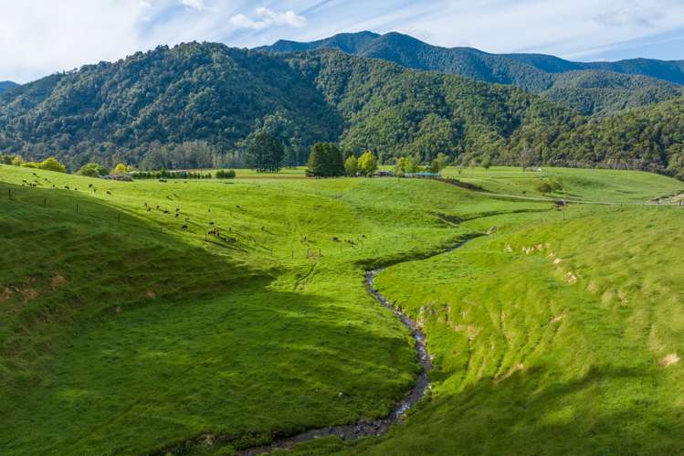 Lot 2, Maungatapu Road Pelorus Bridge_13