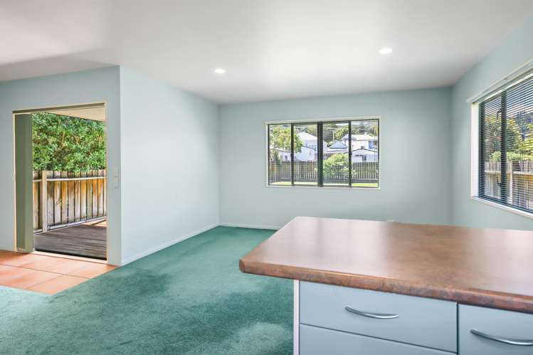 208 Baillie Street Thames_9