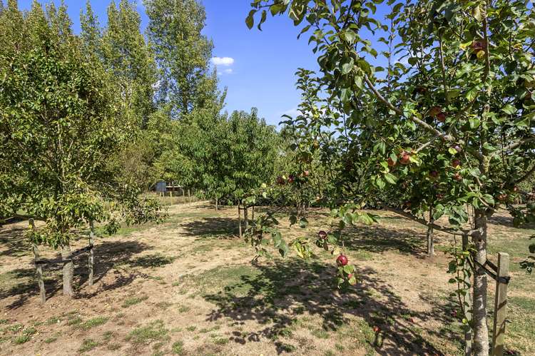 151 Boyd Road Gordonton_21