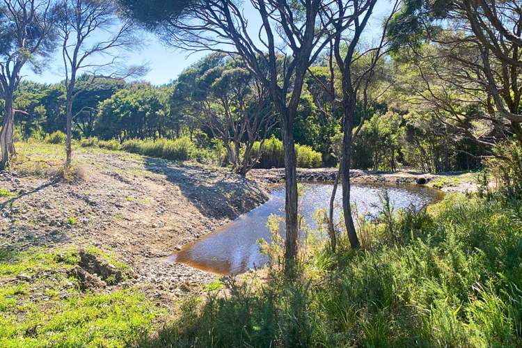 Lot 3/161 Wharariki Road_4