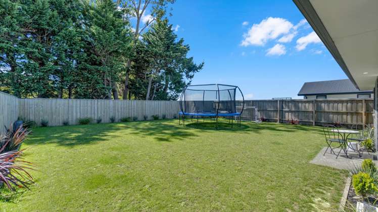 73 Henshaw Street Ravenswood_14