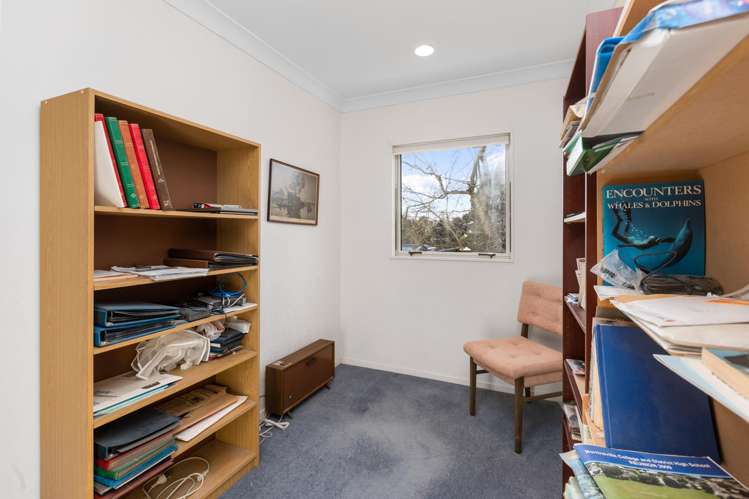 11 Seales Road Morrinsville_15