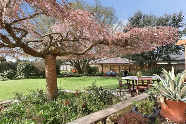 1133 Goulds Road Rolleston_16